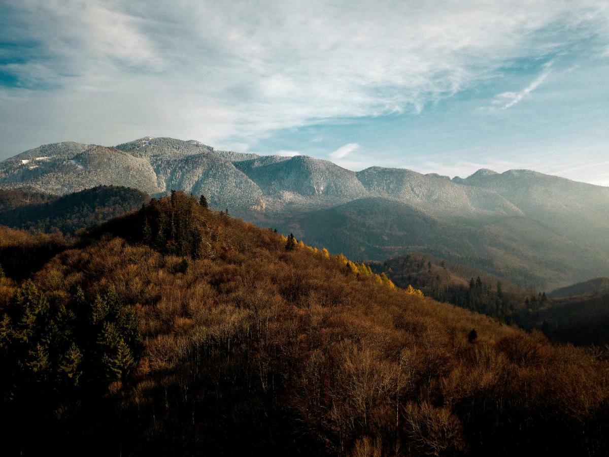 House Of Seasons Villa Bran  Dış mekan fotoğraf